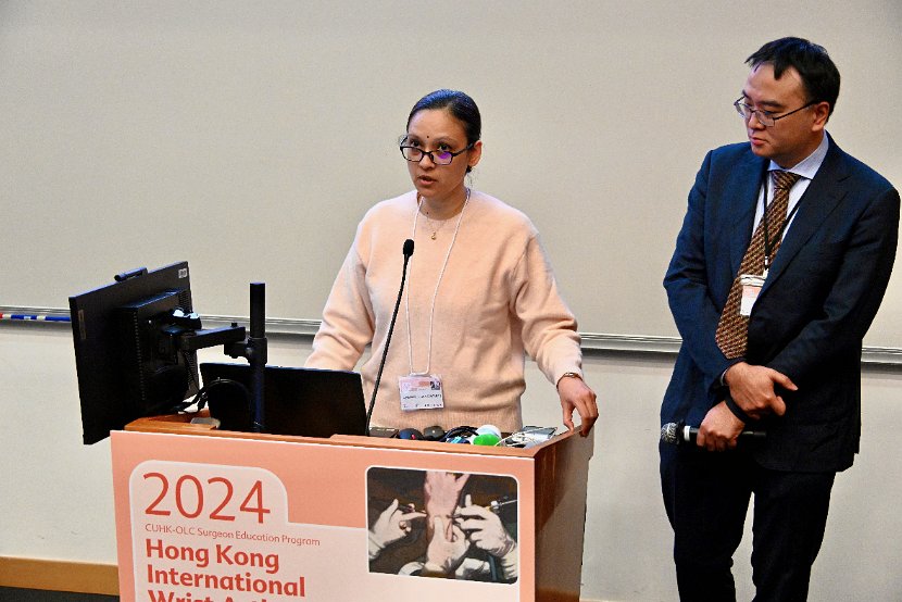 HK Wrist Course 2024- Seminar  - 103 of 257